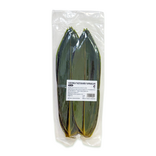 Load image into Gallery viewer, XUSHI VAKUMLU BAMBU YAPRAĞI (BAMBOO LEAF) 粽子叶 - 100PCS