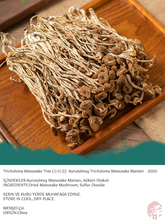 Load image into Gallery viewer, SHANYUAN KURUTULMUŞ TRICHOLOMA MATSUTAKE MANTARI (TRICHOLOMA MATSUTAKE MUSHROOM) 茶树菇 - 200G