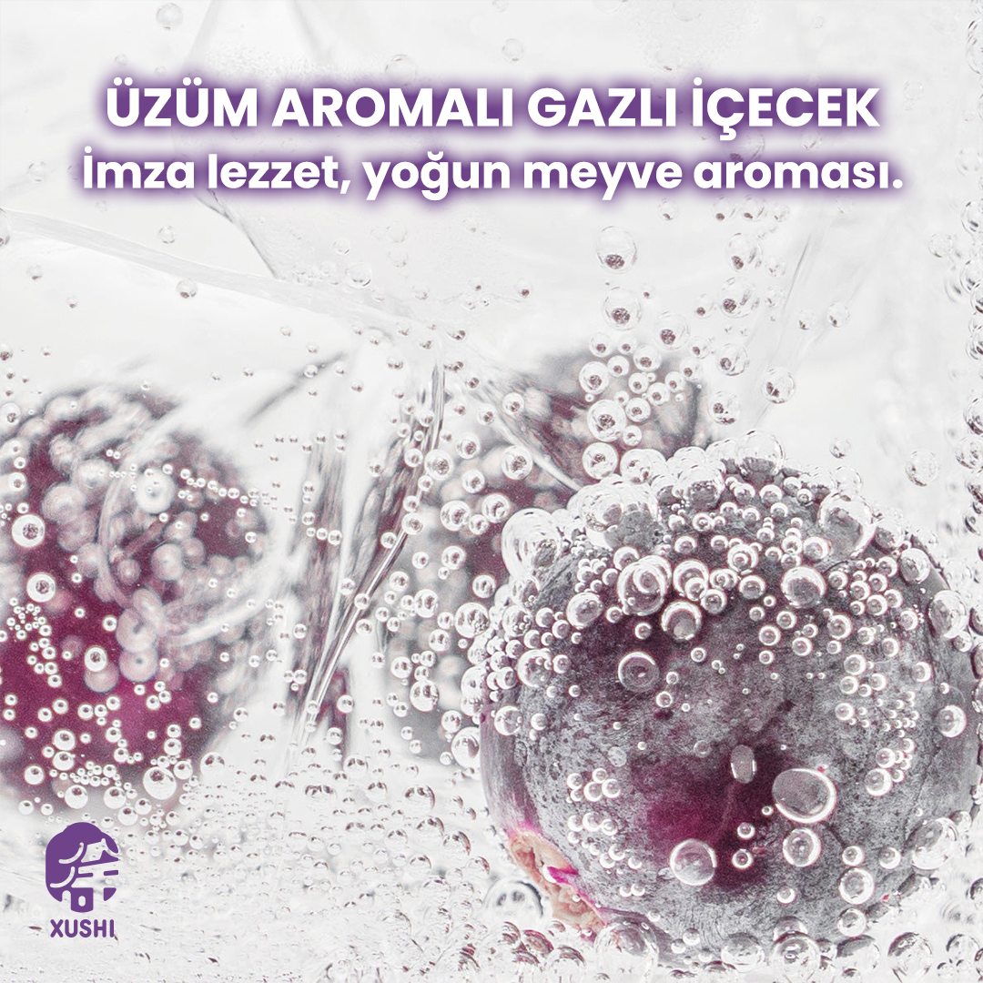 CHI FOREST ÜZÜM AROMALI GAZLI İÇECEK (SPARKLING WATER BEVERAGE GRAPE FLAVOR) 元气森林0卡葡萄味汽水 - 330ML