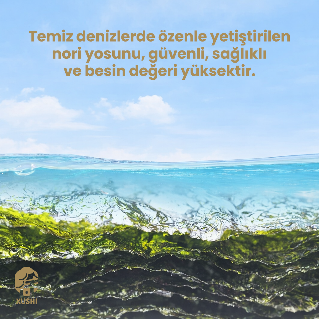 YOKO KAVRULMUŞ DENİZ YOSUNU (ROASTED SEAWEED) 烤海苔 - 125G
